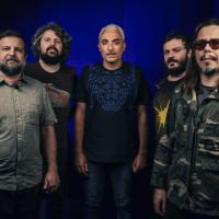 'Indie Jungle', dodici artisti e la loro musica