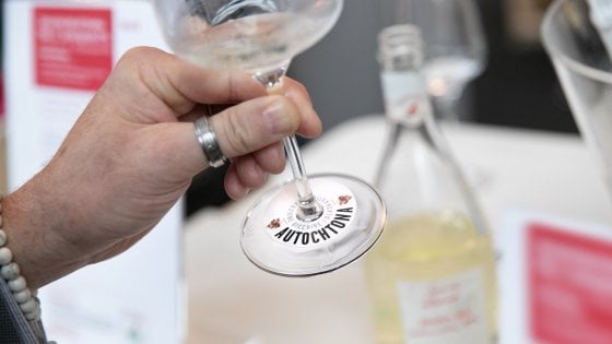 C'è chi resiste: confermati Autochtona, Life of Wine  e Vendemmia a Torino