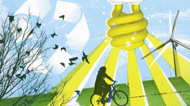 Alberi piantati, podcast e corsi online: cos&igrave; si insegna la sostenibilit&agrave; in Italia