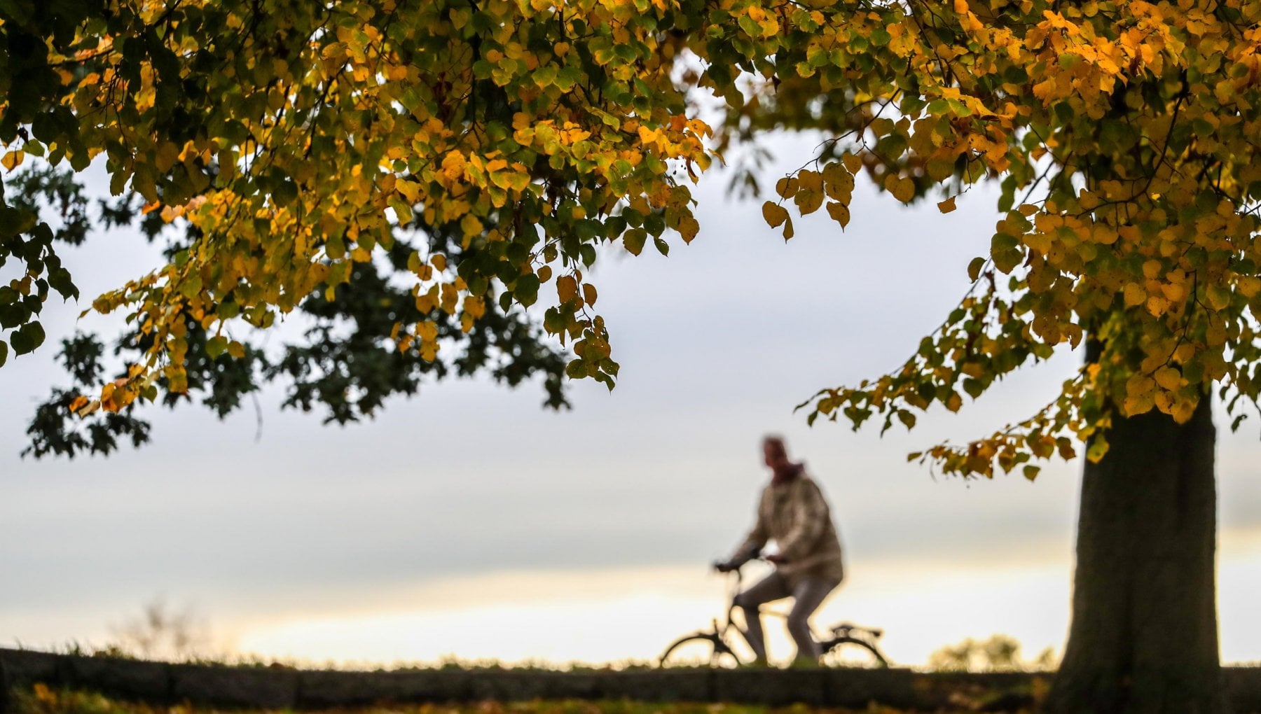 Bonus bici e monopattini, si parte - la Repubblica