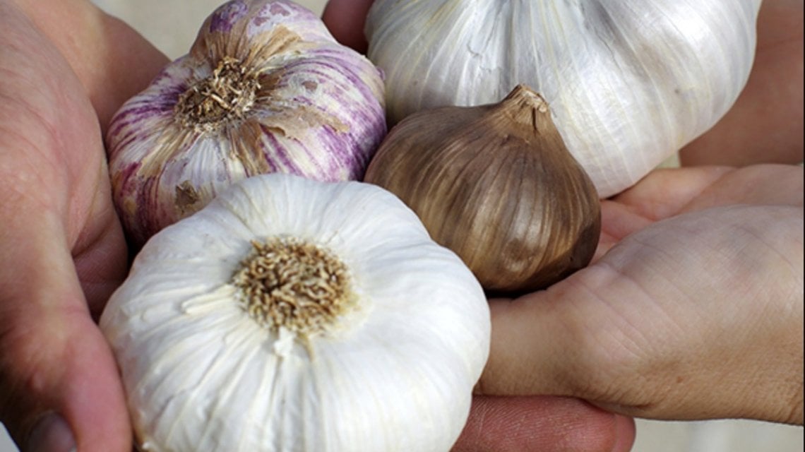 La puntata del 14 novembre 2020 &egrave; stata dedicata all'aglio&nbsp;