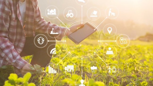 Robot per la mungitura, software per l'irrigazione: ecco il mondo dell'agricoltura 4.0
