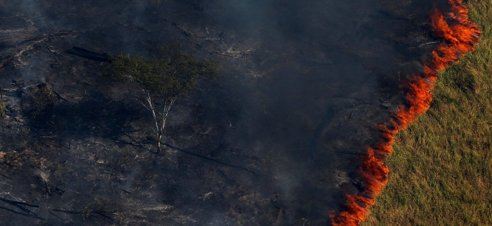 Il disboscamento illegale in Amazzonia