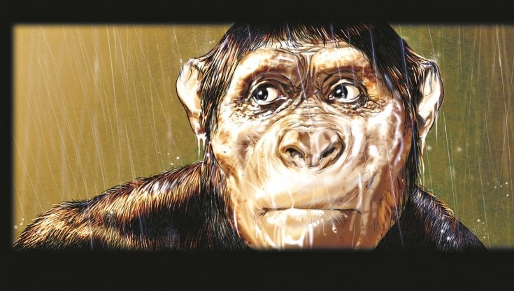 "Lucy" di Tanino Liberatore