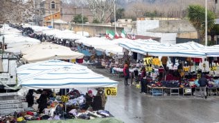 LeasePlan e Confcooperative a supporto delle federazioni sul territorio