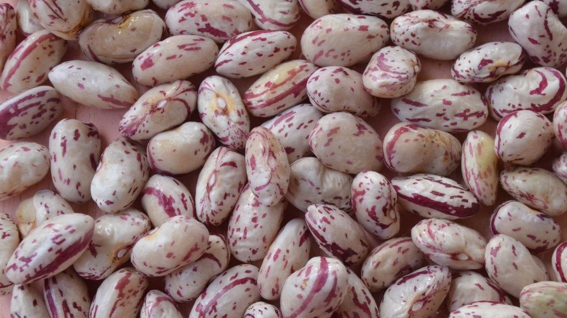 I fagioli di Sutri