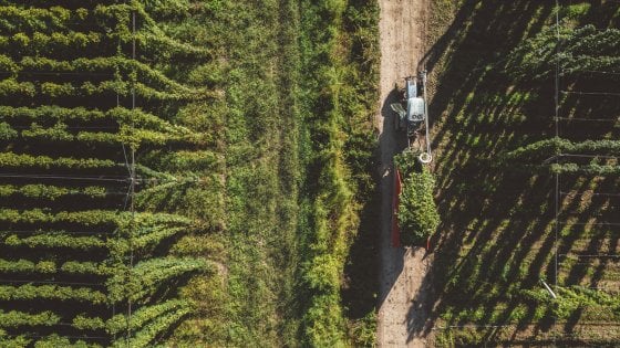 Un piano europeo per il biologico. "Ora serve una legge nazionale"