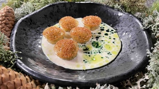 Quaranta chef per 40 mesi: il progetto di Jre e Parmigiano Reggiano