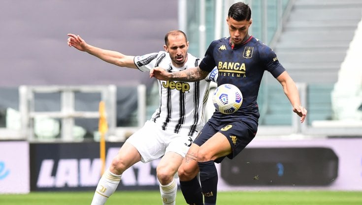 Juventus, Chiellini e il futuro: \