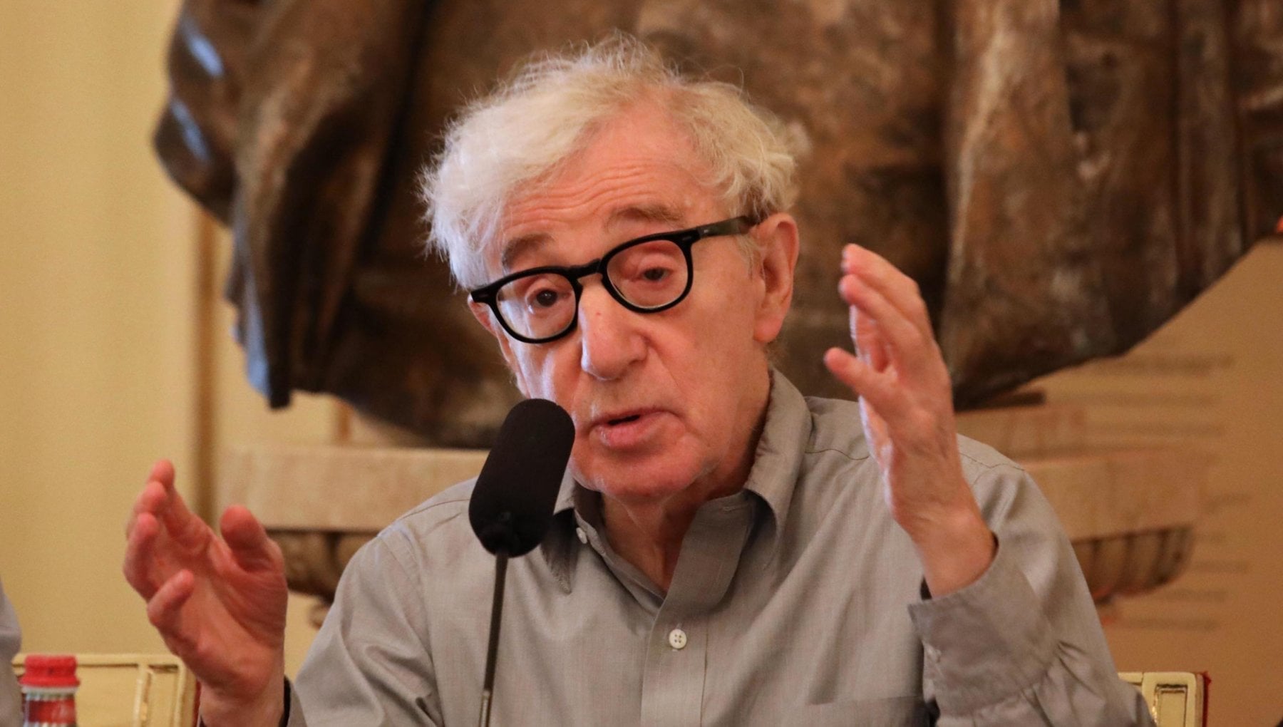 Woody Allen, l'ultimo film arriva in Italia ma potrebbe non uscire