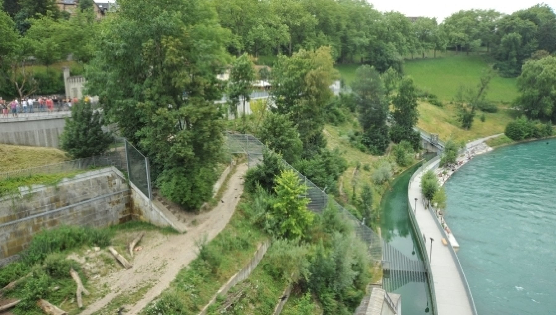 Lo Zoo Di Berna Inaugura il Percorso Del Bracconiere Fucili Finti Ai 