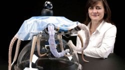 La scienziata Cecilia Laschi: "Che paura l'esame d'Italiano, ma ho imparato che il ragionamento <br />&egrave; l'alleato migliore"