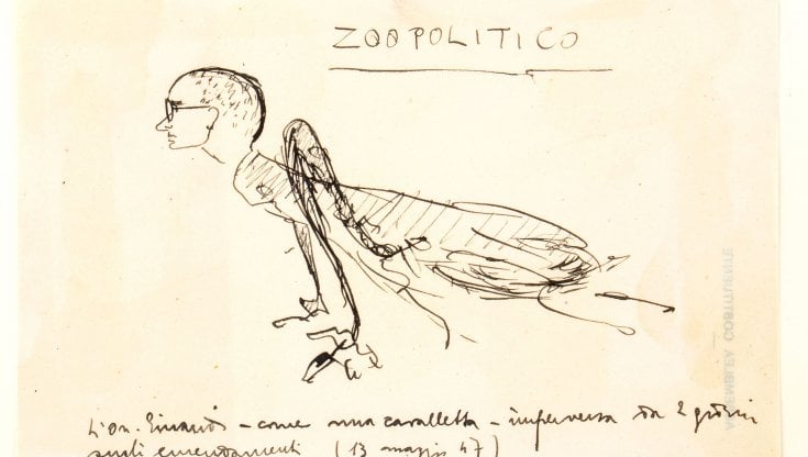 Zoopolitico - L'  onorevole LuigiEinaudi come una cavalletta imperversa, sta 2 giorni  sugli emendamenti di Amintore Fanfani (Caricatura a china e matite su  carta intestata dell'Assemblea Costituente, 13 maggio 1947)