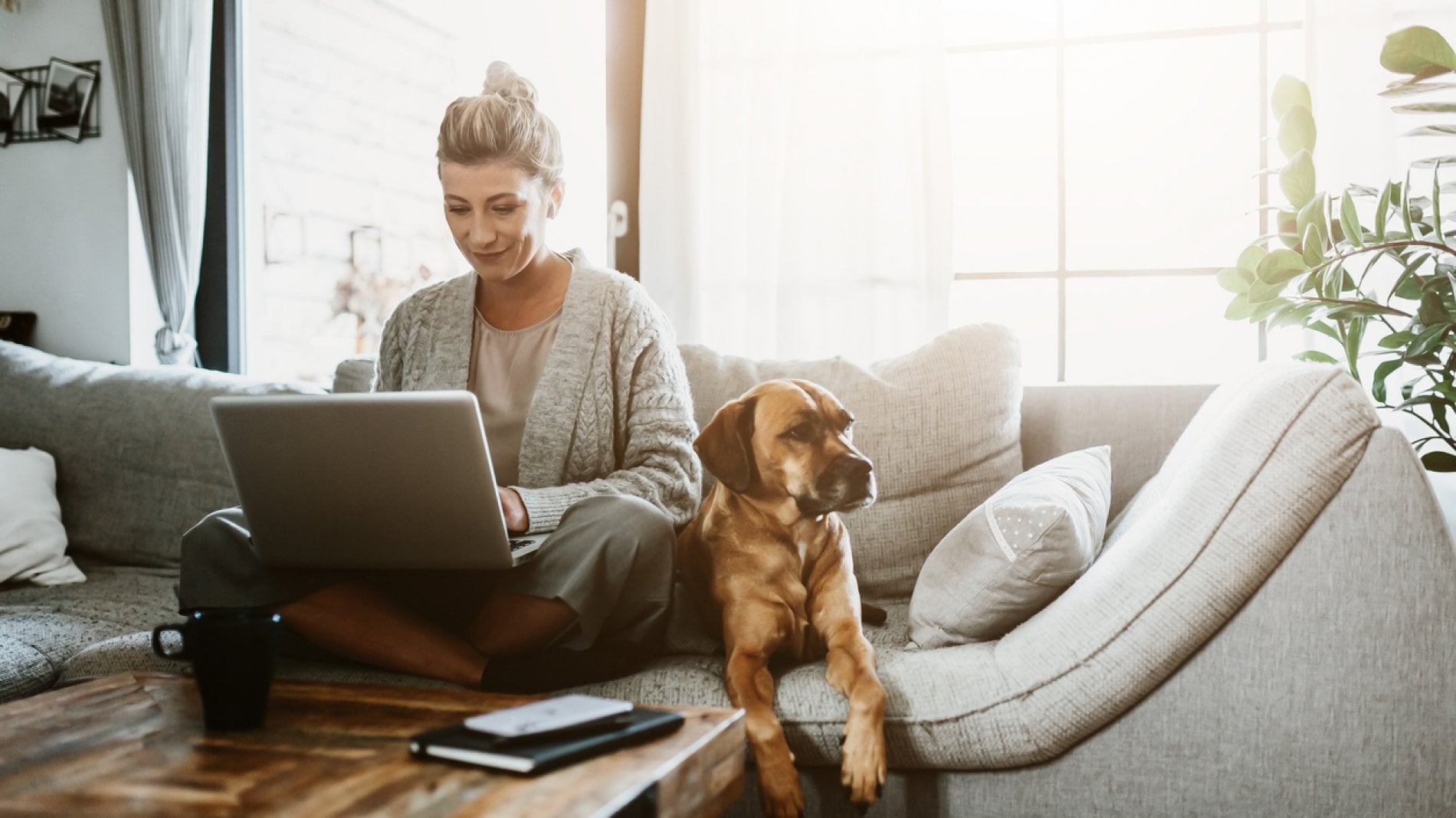 Se in casa c'è un animale domestico serve l'aspirapolvere giusto - la  Repubblica