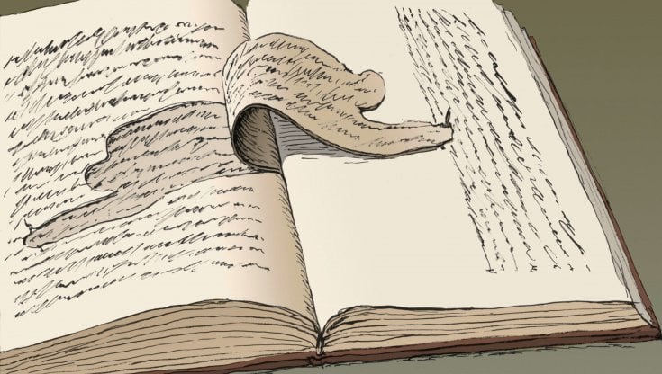 Il personale è politico e il politico è poetico