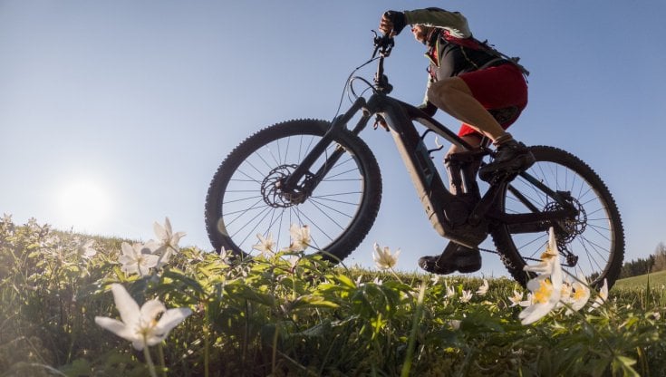E-bike, ecco perché l'offerta non riesce a soddisfare la domanda - la  Repubblica