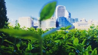 <a href="https://puntoitalia.online/dossier/economia/obiettivo-open-banking/2021/09/07/news/le_fintech_al_servizio_dell_ambiente-316233221/">Le Fintech al servizio dell&rsquo;ambiente</a>