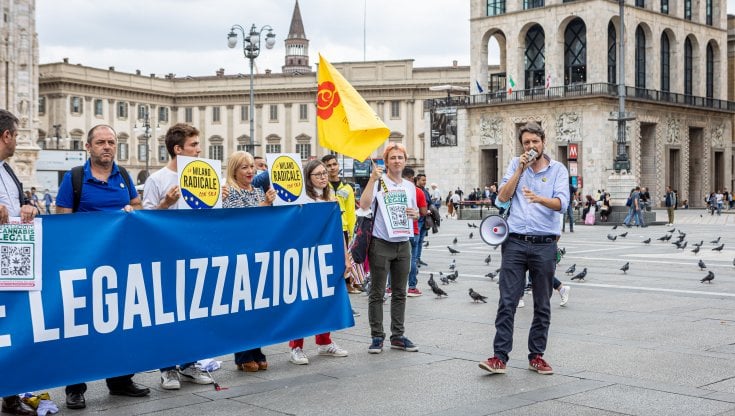 La medicina dei referendum