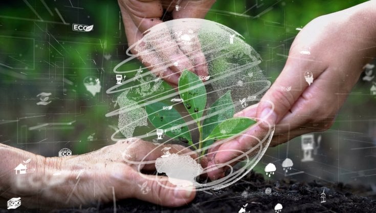 Il contributo della Finanza alla transizione ambientale
