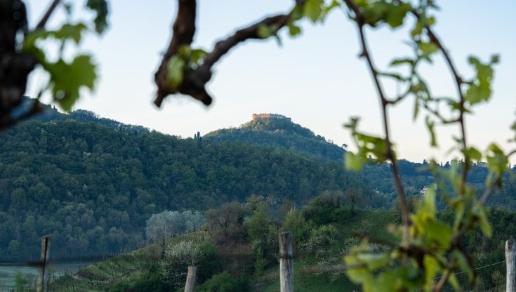 Asolo, i colli del Prosecco Docg 