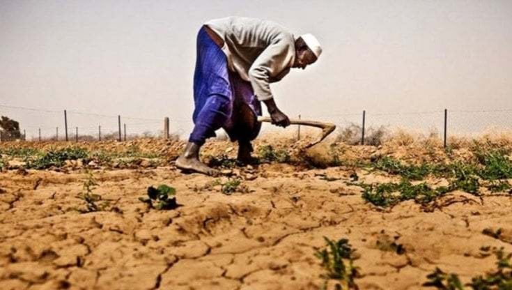 Produzione di alimenti essenziali nel mondo: in 8 Paesi africani potrebbero diminuire dell’80% entro il 2050 per la crisi climatica 