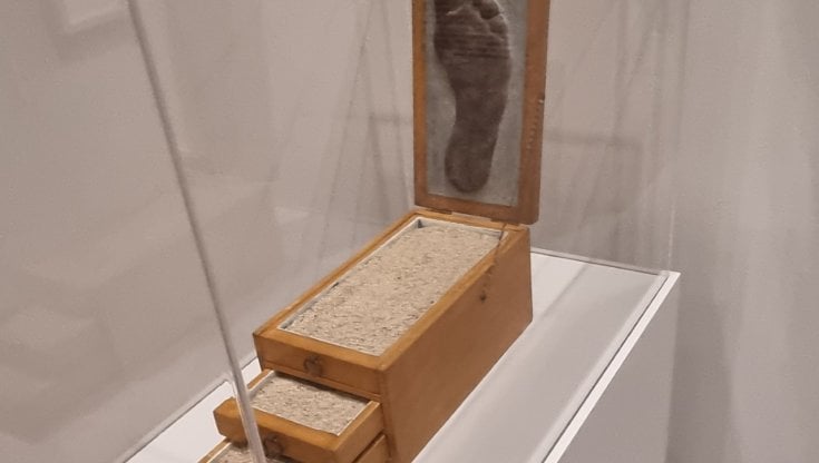La bella e la mostra 