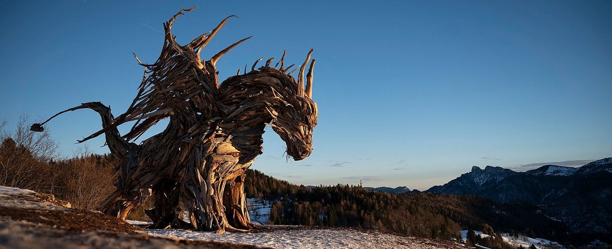 Trentino Un Drago Creato Con Gli Alberi Distrutti Da Vaia Il Monito 
