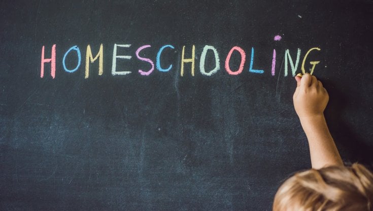 Studiare a casa sì, ma con programmi precisi: pro e contro dell'homeschooling
