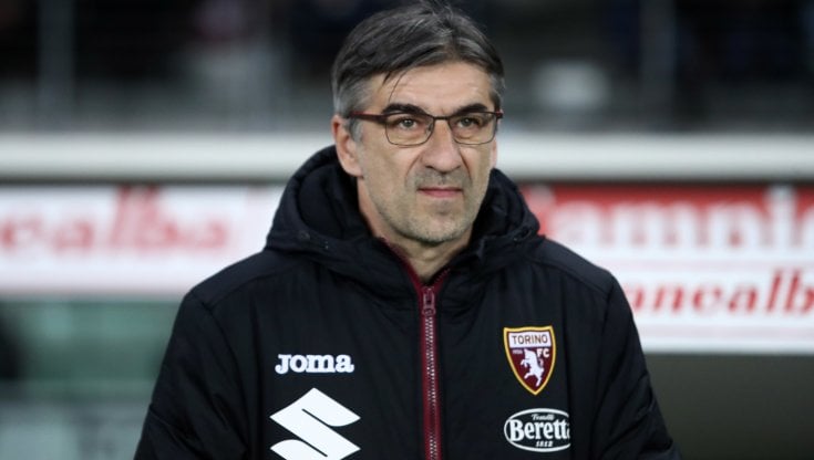 Ivan Juric