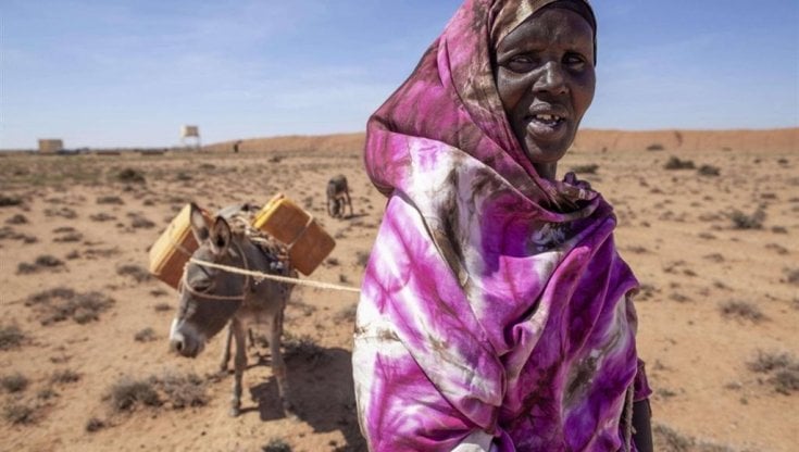 Corno d'Africa, i conflitti, il clima, la pandemia: il mix letale che affama una popolazione complessiva di oltre 195 milioni di persone