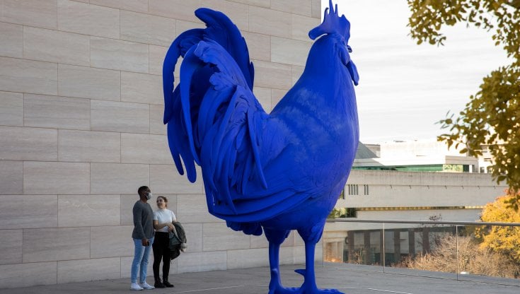 La scultura di Katharina Fritsch, Hahn (Gallo), sul tetto della Galleria nazionale d&rsquo;arte a Washington D.C. nel dicembre 2021 (Getty Images)