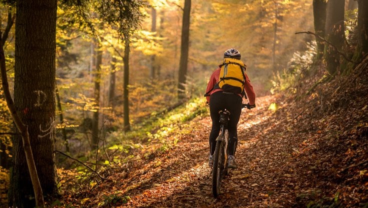 Cresce il cicloturismo in Italia: la mobilità sostenibile che abbatte  l'inquinamento e consente di tagliare le spese sanitarie - la Repubblica