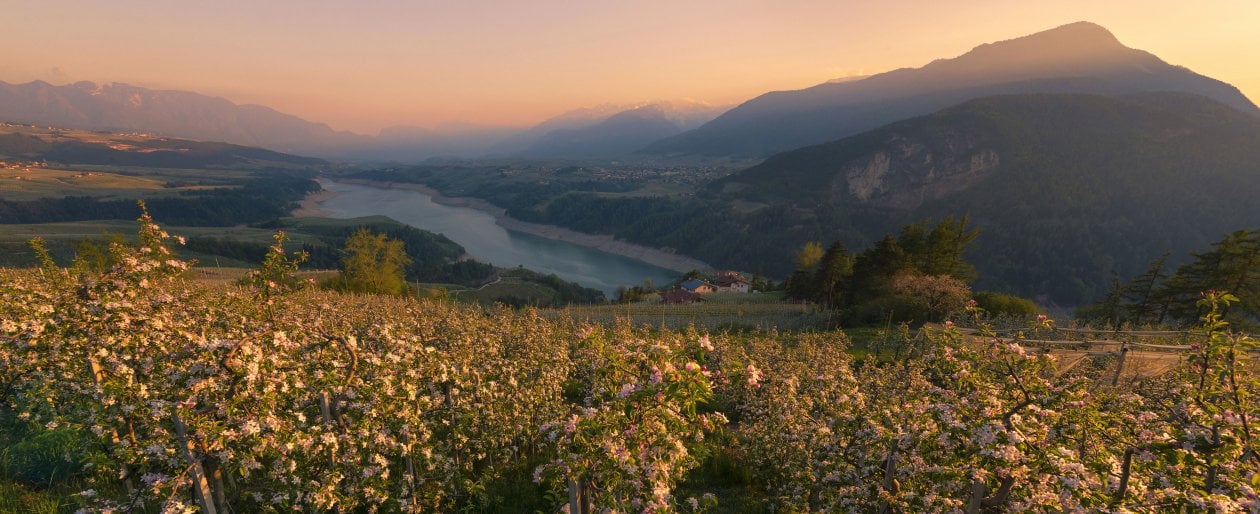 La primavera fiorita della Val di Non