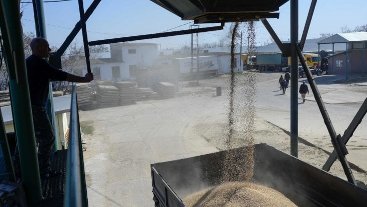 Un uomo carica un camion con il grano a Izmail, Ucraina 