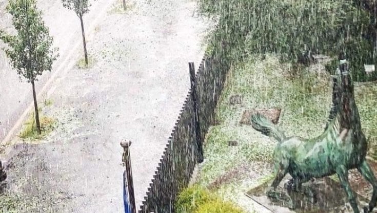 Soft rain    