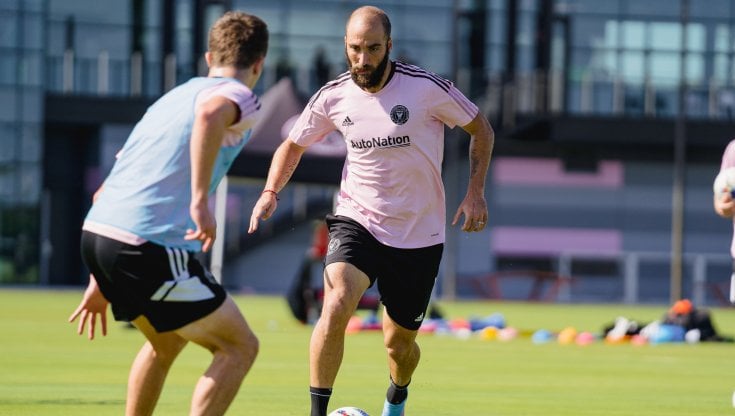 Gonzalo Higuain