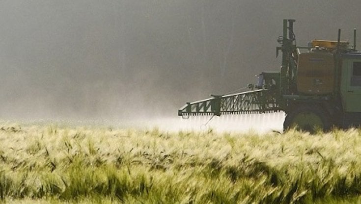 La pandemia silenziosa dei pesticidi: ogni anno nel mondo circa 385 milioni di casi di avvelenamento acuto e 11mila decessi