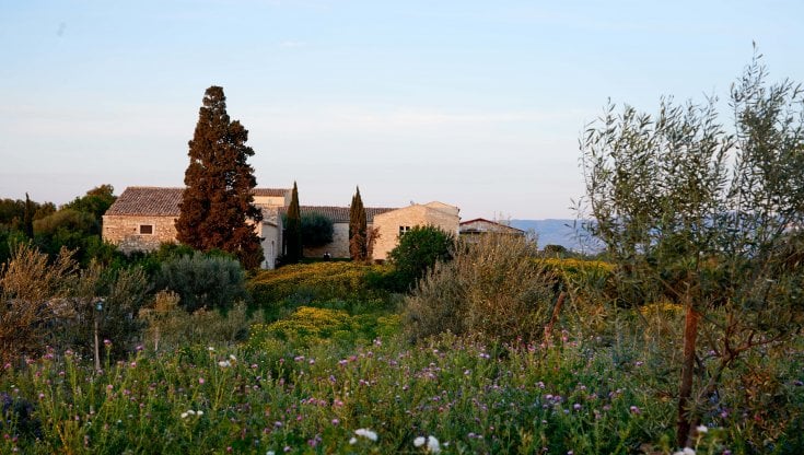 Baglio Occhipinti, Val di Noto, Sicilia