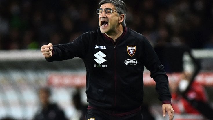 Ivan Juric