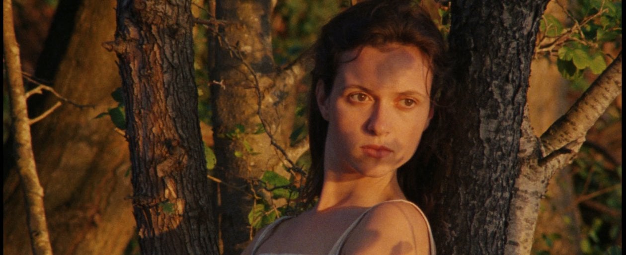 Cannes 2022, Pietro Marcello apre la Quinzaine con 'L'Envol',  racconto popolare dal realismo magico 