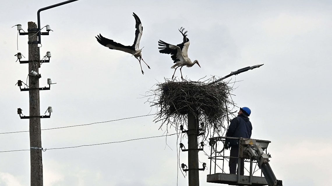 Borodianka (Foto di Sergei SUPINSKY / AFP) 