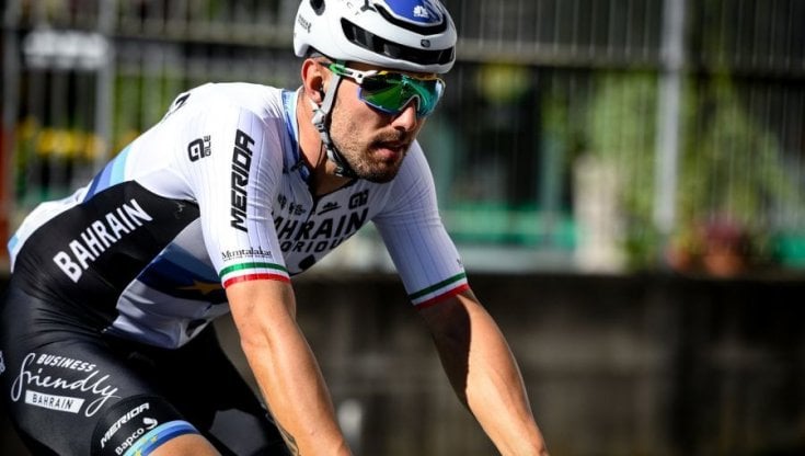 Sonny Colbrelli, 31 anni
