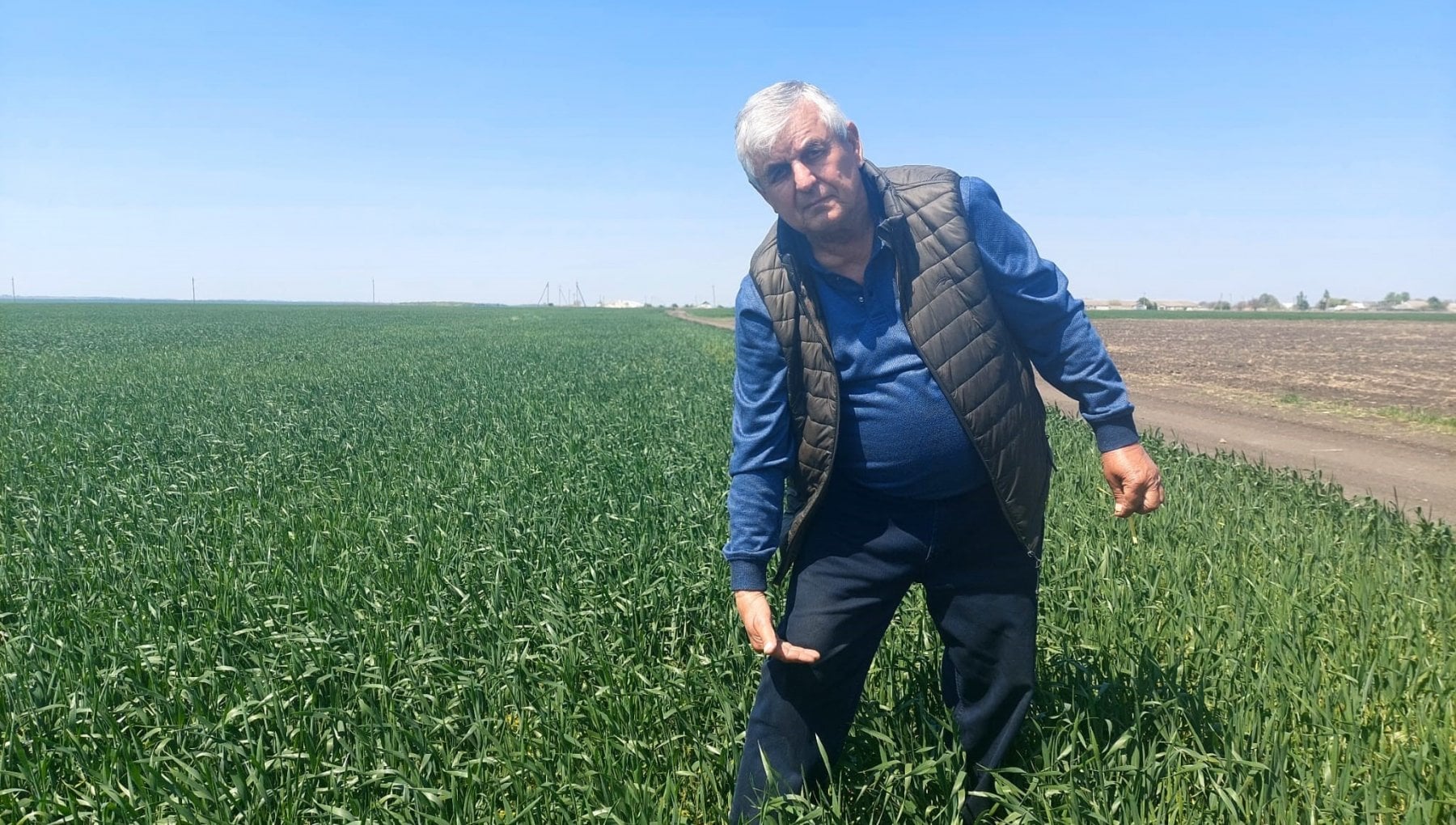 Odessa Il Granaio D Europa Ora Sforna Meno Pane Perderemo Il 40 Per 