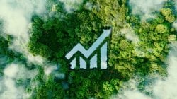 Nei criteri Esg un potente motore della transizione