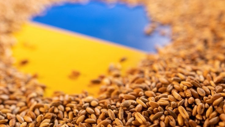 Il G7 tenta di scongiurare la "guerra del pane" in Ucraina: il piano per sbloccare il grano di Odessa