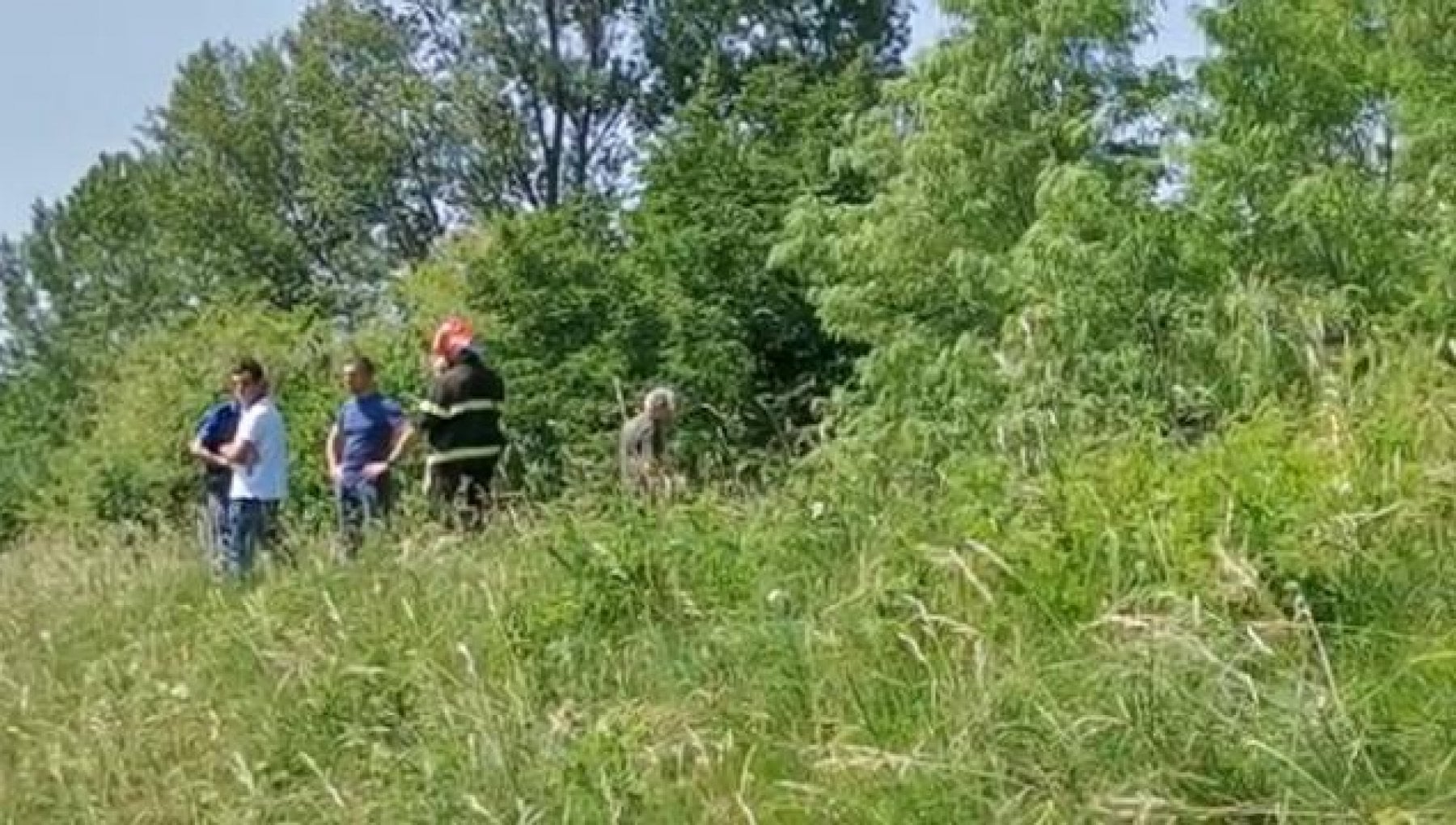 Udine, ultraleggero precipita in un bosco. Il pilota si salva ma è ...