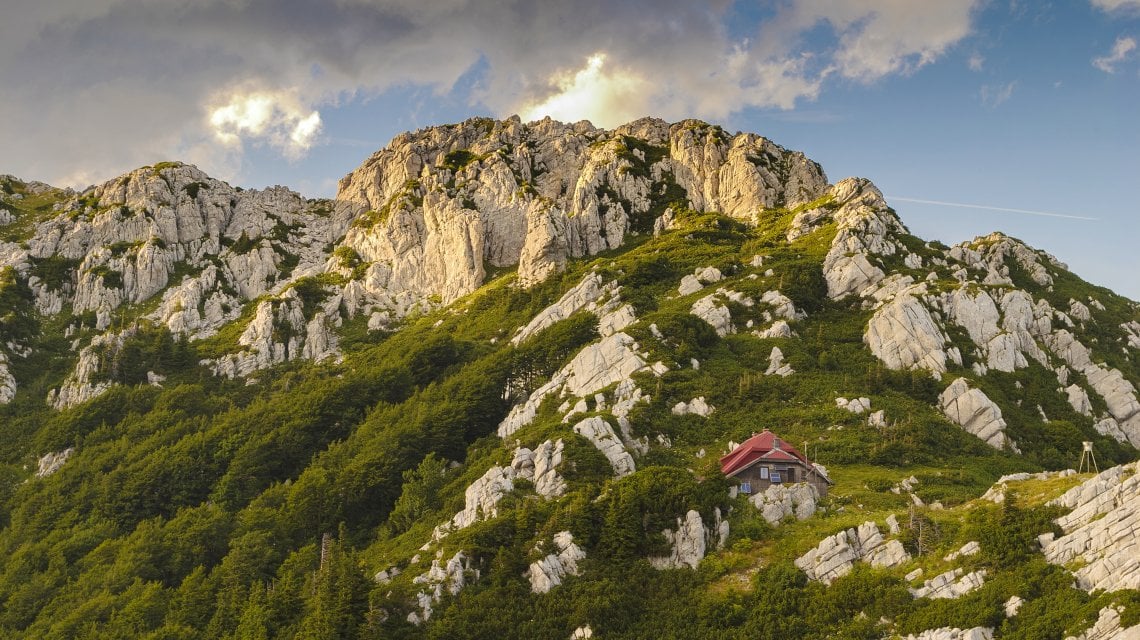 Risnjak, foto di Zoran Jelaca