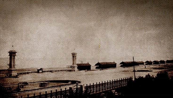 65. Morte nella pineta  