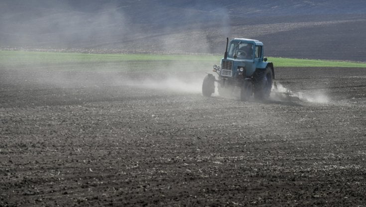 Via Lituania o verso la Romania: le rotte alternative del grano se fallisce il piano di Ankara