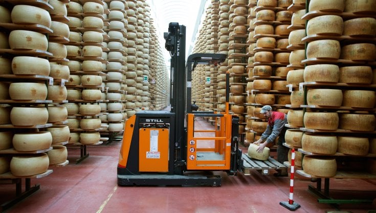 La Lega a Piacenza distribuisce Grana Padano con l'adesivo del partito. L'ira del consorzio